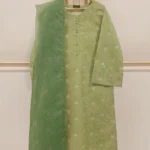 Agha Noor 3pc Lawn